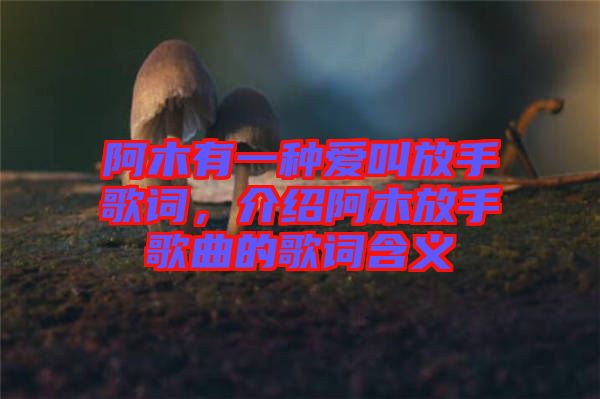 阿木有一種愛(ài)叫放手歌詞，介紹阿木放手歌曲的歌詞含義