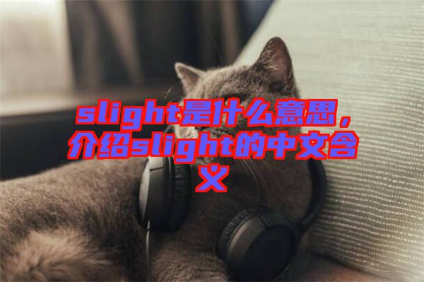 slight是什么意思，介紹slight的中文含義