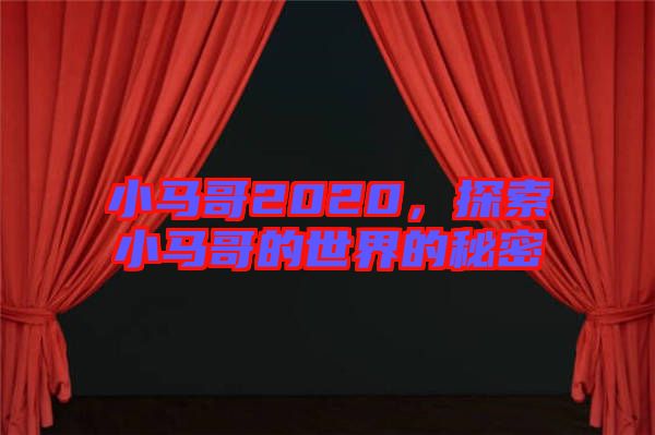 小馬哥2020，探索小馬哥的世界的秘密