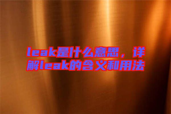 leak是什么意思，詳解leak的含義和用法