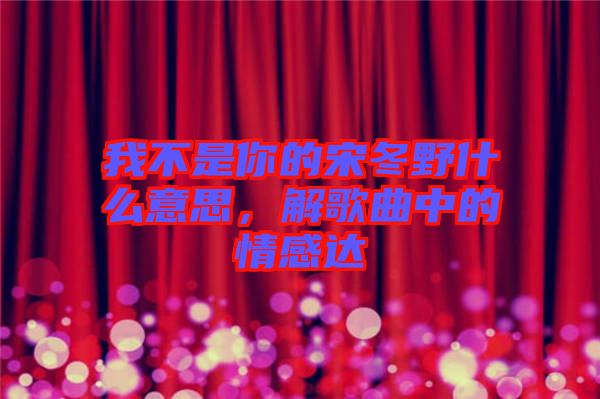 我不是你的宋冬野什么意思，解歌曲中的情感達