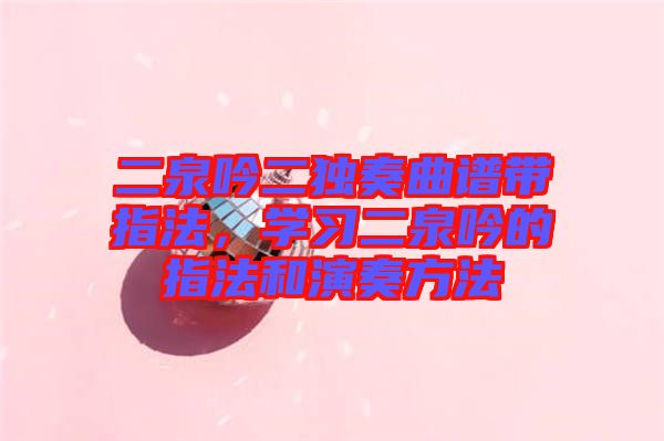 二泉吟二獨(dú)奏曲譜帶指法，學(xué)習(xí)二泉吟的指法和演奏方法