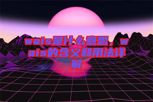 wais是什么意思，wais的含義和用法詳解