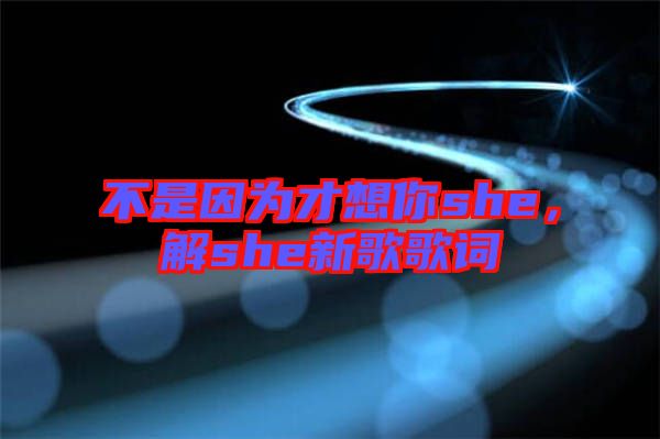 不是因為才想你she，解she新歌歌詞