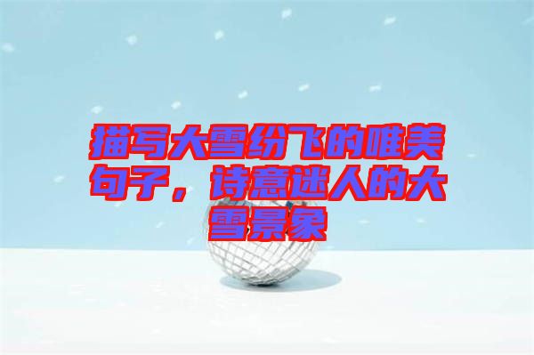 描寫大雪紛飛的唯美句子，詩意迷人的大雪景象