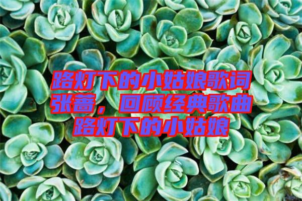 路燈下的小姑娘歌詞張薔，回顧經(jīng)典歌曲路燈下的小姑娘