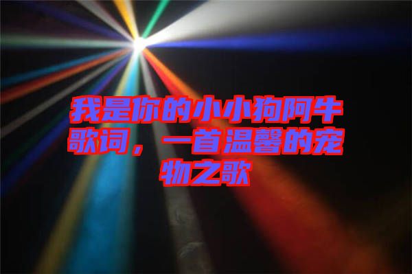 我是你的小小狗阿牛歌詞，一首溫馨的寵物之歌