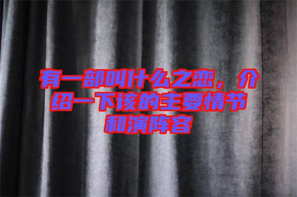 有一部叫什么之戀，介紹一下該的主要情節(jié)和演陣容