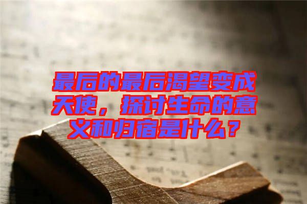 最后的最后渴望變成天使，探討生命的意義和歸宿是什么？