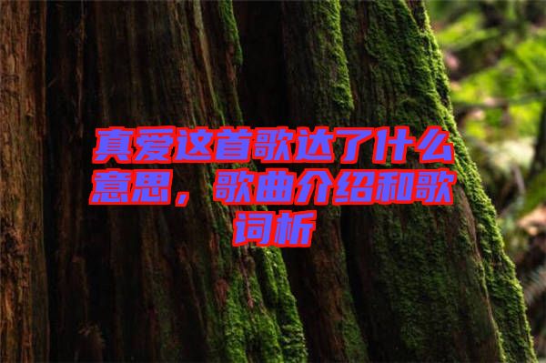 真愛(ài)這首歌達(dá)了什么意思，歌曲介紹和歌詞析