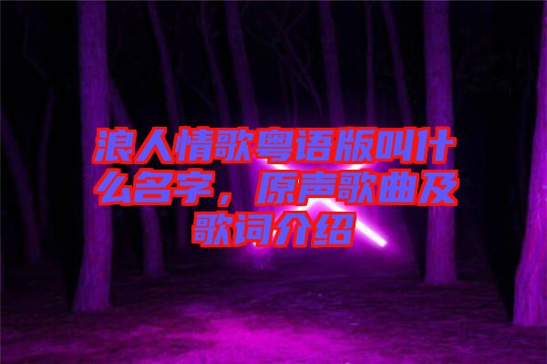 浪人情歌粵語版叫什么名字，原聲歌曲及歌詞介紹