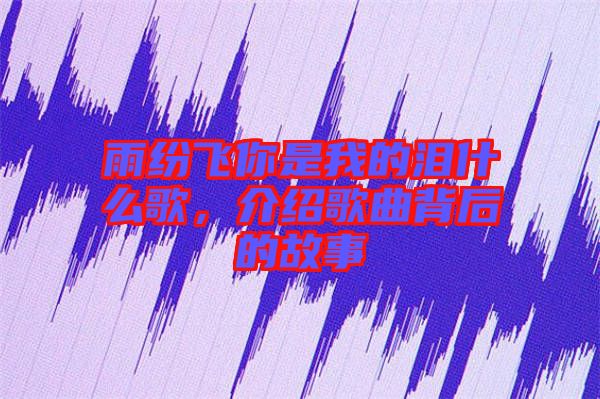 雨紛飛你是我的淚什么歌，介紹歌曲背后的故事