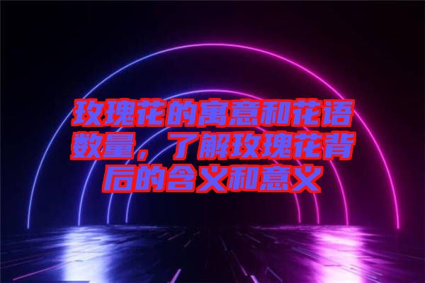 玫瑰花的寓意和花語數(shù)量，了解玫瑰花背后的含義和意義