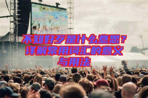 不知好歹是什么意思？詳解常用詞匯的意義與用法