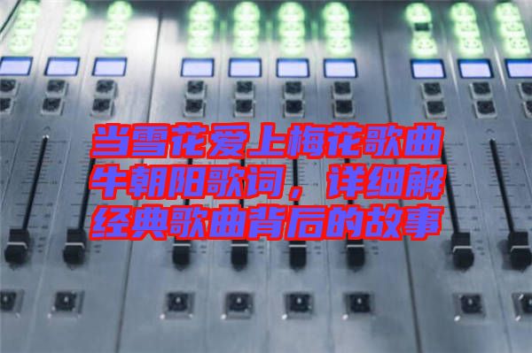 當(dāng)雪花愛上梅花歌曲牛朝陽歌詞，詳細(xì)解經(jīng)典歌曲背后的故事