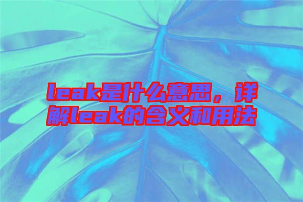 leak是什么意思，詳解leak的含義和用法