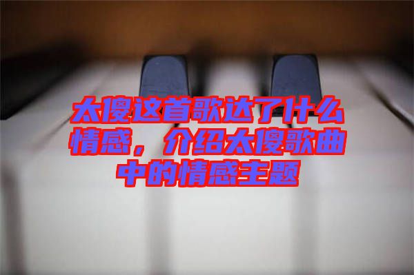 太傻這首歌達了什么情感，介紹太傻歌曲中的情感主題