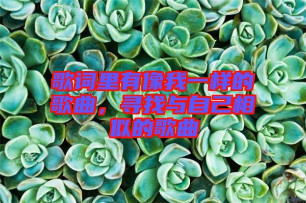 歌詞里有像我一樣的歌曲，尋找與自己相似的歌曲