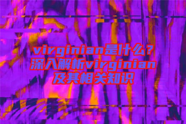 virginian是什么？深入解析virginian及其相關(guān)知識