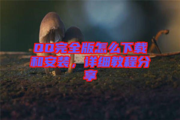 QQ完全版怎么下載和安裝，詳細(xì)教程分享