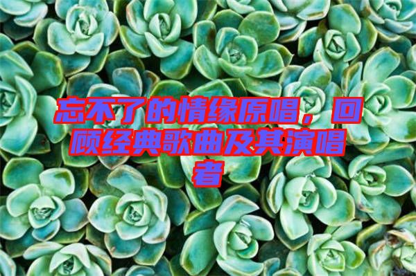 忘不了的情緣原唱，回顧經(jīng)典歌曲及其演唱者