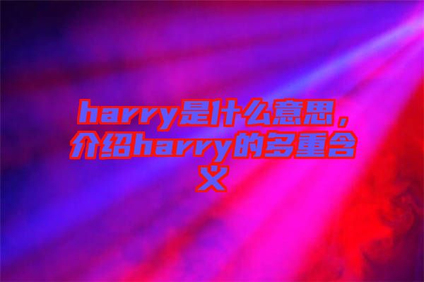 harry是什么意思，介紹harry的多重含義