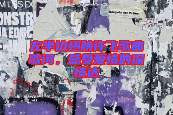 左半邊翅膀許飛歌曲歌詞，感受愛情的深情達