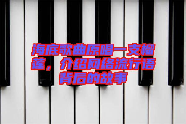 海底歌曲原唱一支榴蓮，介紹網(wǎng)絡(luò)流行語背后的故事