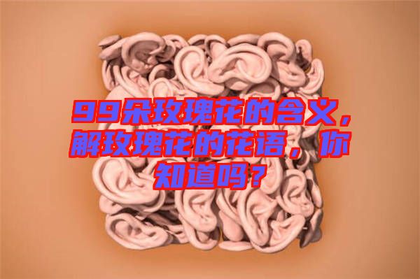 99朵玫瑰花的含義，解玫瑰花的花語，你知道嗎？