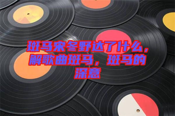 斑馬宋冬野達(dá)了什么，解歌曲斑馬，斑馬的深意