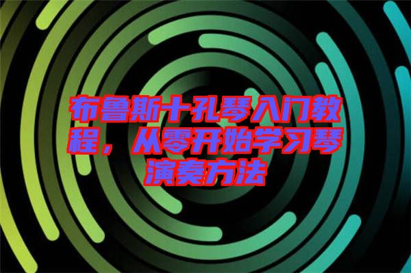 布魯斯十孔琴入門教程，從零開始學習琴演奏方法