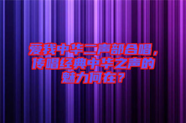 愛(ài)我中華二聲部合唱，傳唱經(jīng)典中華之聲的魅力何在？