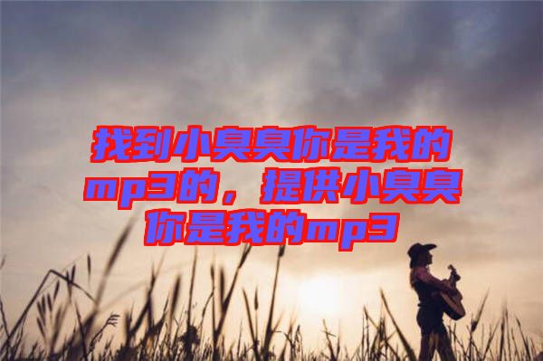 找到小臭臭你是我的mp3的，提供小臭臭你是我的mp3