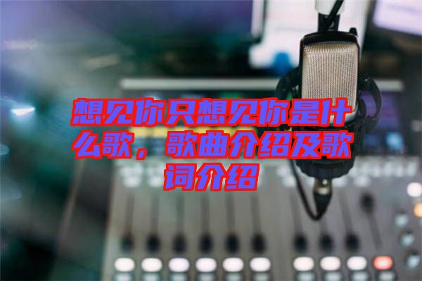 想見你只想見你是什么歌，歌曲介紹及歌詞介紹