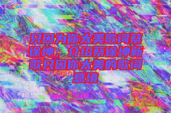 只因?yàn)槟闾栏柙~蔡徐坤，介紹蔡徐坤新歌只因你太美的歌詞意境