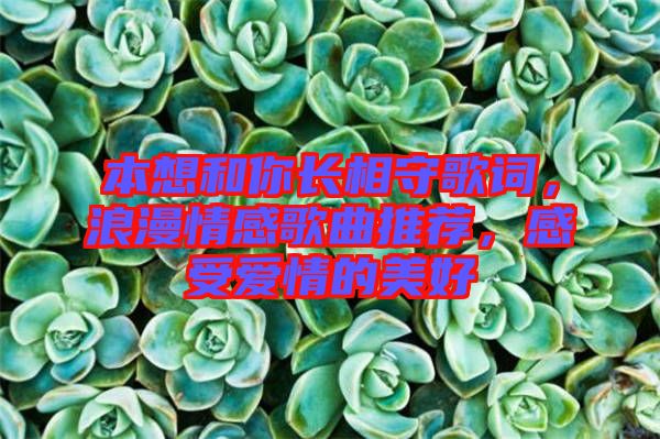 本想和你長相守歌詞，浪漫情感歌曲推薦，感受愛情的美好