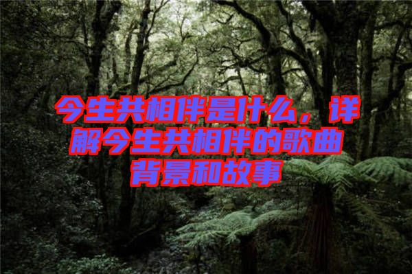 今生共相伴是什么，詳解今生共相伴的歌曲背景和故事