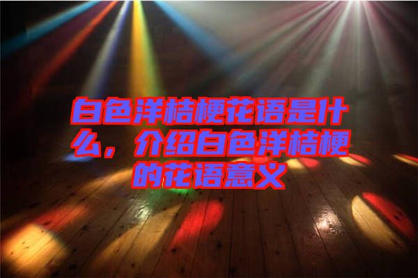 白色洋桔?；ㄕZ是什么，介紹白色洋桔梗的花語意義