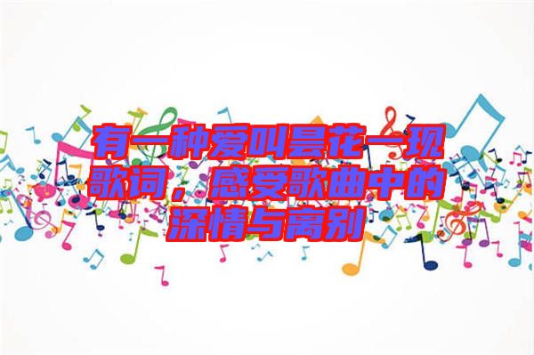 有一種愛叫曇花一現歌詞，感受歌曲中的深情與離別