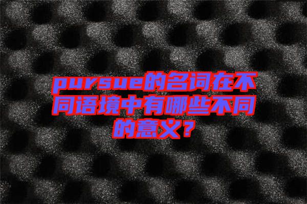 pursue的名詞在不同語境中有哪些不同的意義？