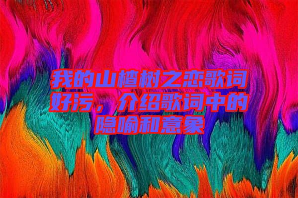 我的山楂樹之戀歌詞好污，介紹歌詞中的隱喻和意象