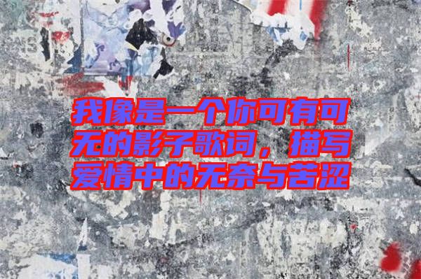 我像是一個(gè)你可有可無的影子歌詞，描寫愛情中的無奈與苦澀