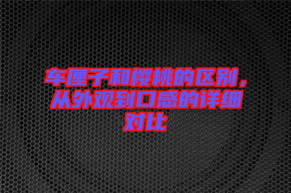 車?yán)遄雍蜋烟业膮^(qū)別，從外觀到口感的詳細(xì)對比