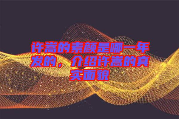 許嵩的素顏是哪一年發(fā)的，介紹許嵩的真實(shí)面貌