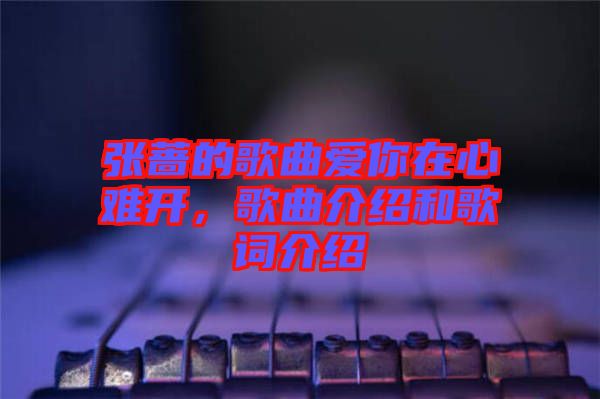 張薔的歌曲愛(ài)你在心難開(kāi)，歌曲介紹和歌詞介紹