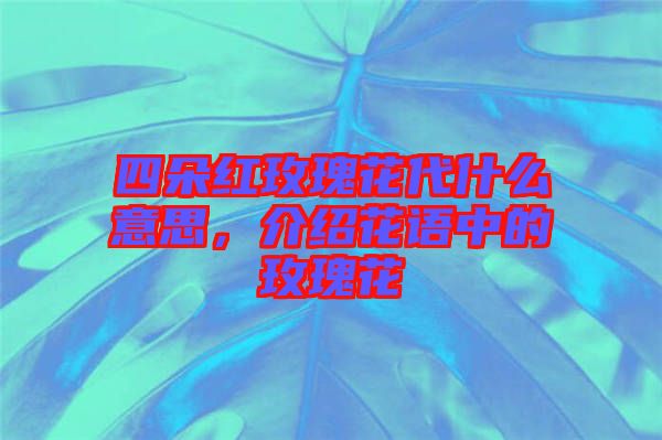 四朵紅玫瑰花代什么意思，介紹花語中的玫瑰花