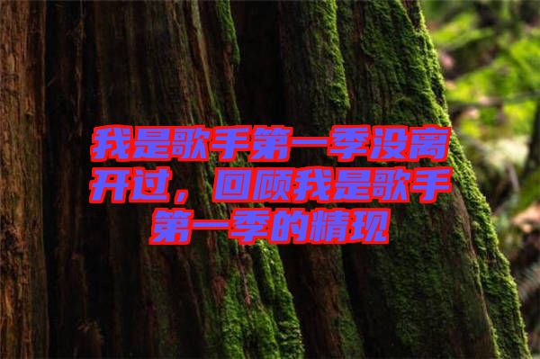 我是歌手第一季沒離開過，回顧我是歌手第一季的精現(xiàn)