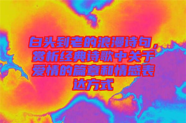 白頭到老的浪漫詩句，賞析經(jīng)典詩歌中關(guān)于愛情的篇章和情感表達方式