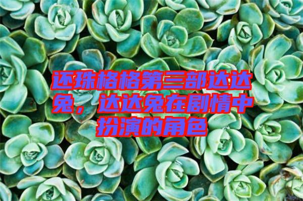 還珠格格第三部達(dá)達(dá)兔，達(dá)達(dá)兔在劇情中扮演的角色