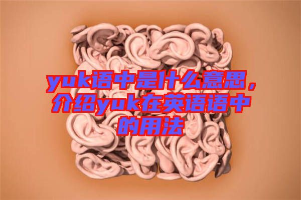 yuk語中是什么意思，介紹yuk在英語語中的用法